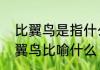比翼鸟是指什么　比翼鸟比喻什么比翼鸟比喻什么