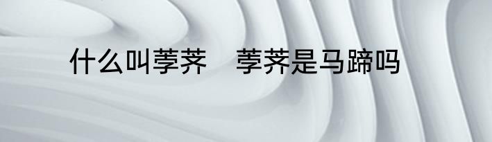 什么叫荸荠　荸荠是马蹄吗