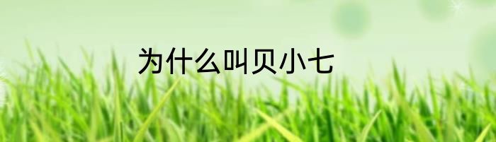 为什么叫贝小七