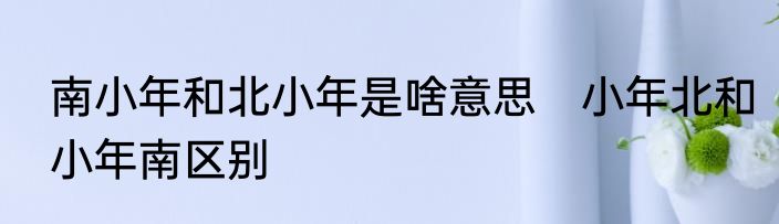 南小年和北小年是啥意思　小年北和小年南区别