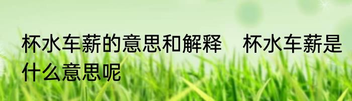 杯水车薪的意思和解释　杯水车薪是什么意思呢