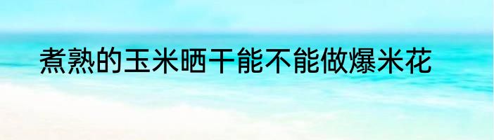 煮熟的玉米晒干能不能做爆米花