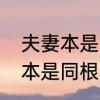夫妻本是同根生相煎何太急什么意思　本是同根生相煎何太急是什么意思