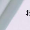 北极熊习性和资料