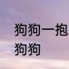 狗狗一抱就尿怎么回事　如何正确抱狗狗