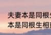 夫妻本是同根生相煎何太急什么意思　本是同根生相煎何太急是什么意思