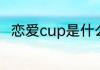 恋爱cup是什么意思　什么是pui男