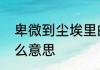 卑微到尘埃里的意思　卑微到尘埃什么意思