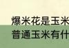 爆米花是玉米吗　炸爆米花的玉米和普通玉米有什么区别