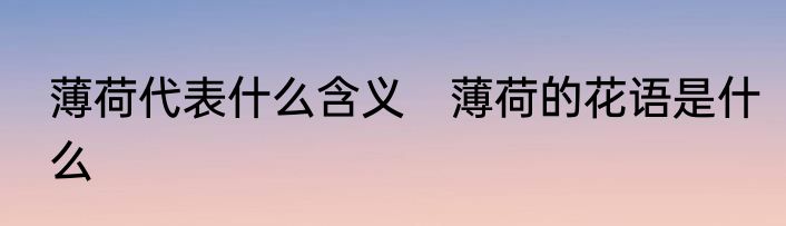 薄荷代表什么含义　薄荷的花语是什么