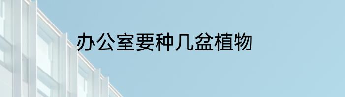 办公室要种几盆植物