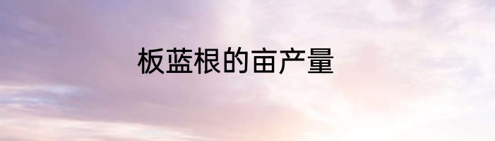 板蓝根的亩产量