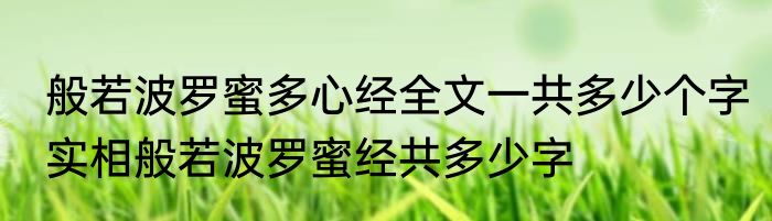 般若波罗蜜多心经全文一共多少个字　实相般若波罗蜜经共多少字