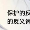 保护的反义词是什么呢　一年级保护的反义词是什么