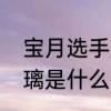 宝月选手是什么意思　心如宝月映琉璃是什么意思