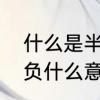 什么是半场胜负　世界杯半全场胜平负什么意思