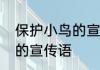 保护小鸟的宣传语有什么　爱护鸟类的宣传语