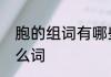 胞的组词有哪些　同胞的胞可以组什么词