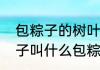 包粽子的树叶是什么树　包粽子的叶子叫什么包粽子的叶子叫什么