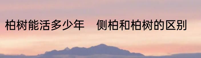 柏树能活多少年　侧柏和柏树的区别