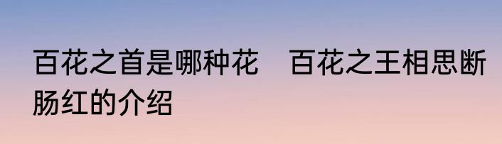 百花之首是哪种花　百花之王相思断肠红的介绍