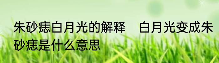 朱砂痣白月光的解释　白月光变成朱砂痣是什么意思