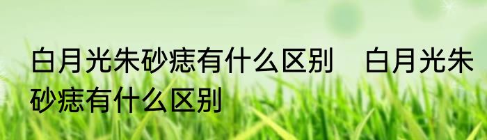 白月光朱砂痣有什么区别　白月光朱砂痣有什么区别