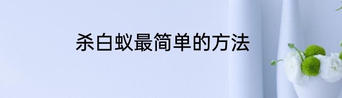 杀白蚁最简单的方法