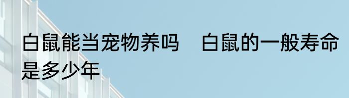 白鼠能当宠物养吗　白鼠的一般寿命是多少年