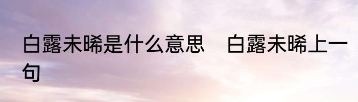 白露未晞是什么意思　白露未晞上一句