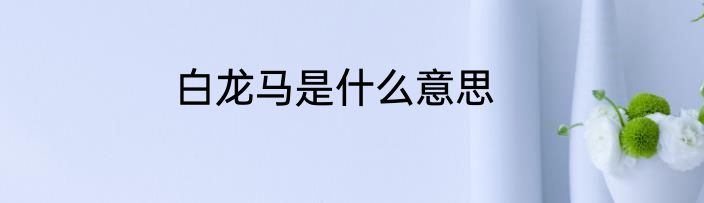白龙马是什么意思