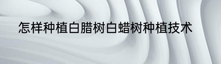 怎样种植白腊树白蜡树种植技术