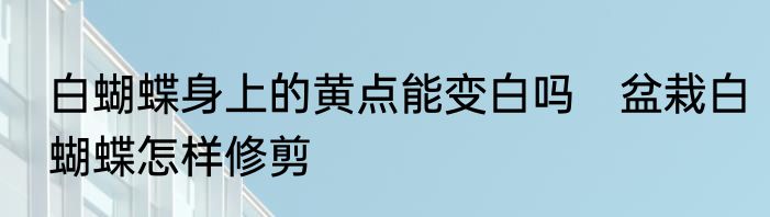 白蝴蝶身上的黄点能变白吗　盆栽白蝴蝶怎样修剪