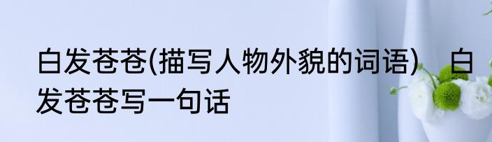 白发苍苍(描写人物外貌的词语)　白发苍苍写一句话
