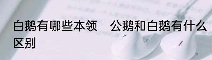 白鹅有哪些本领　公鹅和白鹅有什么区别