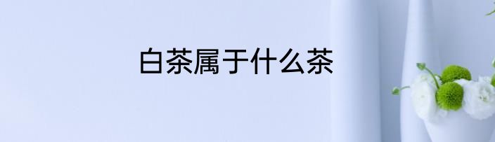 白茶属于什么茶