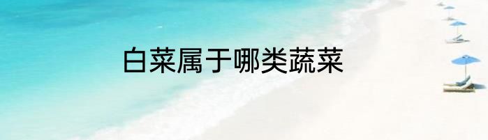 白菜属于哪类蔬菜