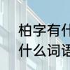 柏字有什么组词6个　柏能组什么词什么词语