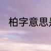 柏字意思是什么　柏的含义与寓意