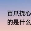 百爪挠心”是什么意思　百爪挠心”指的是什么