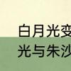 白月光变成朱砂痣是什么意思　白月光与朱沙痣什么意思