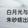 白月光与朱砂痣原唱本人　白夜光和朱砂痣出自哪首歌