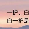 一护、白一护、斩月的关系　死神中白一护是什么，怎么出来的