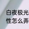 白夜极光偕行者是啥　白夜极光双属性怎么弄