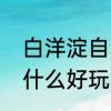 白洋淀自驾野游点　谁知道白洋淀有什么好玩的