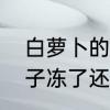 白萝卜的叶子是什么样子的　萝卜叶子冻了还能吃吗
