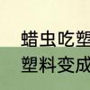 蜡虫吃塑料为什么没有普及　蜡虫吃塑料变成粪便了吗