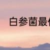 白参菌最佳吃法　白参菌最佳吃法