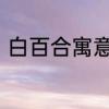 白百合寓意及花语　白百合花怎么养