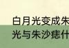 白月光变成朱砂痣是什么意思　白月光与朱沙痣什么意思
